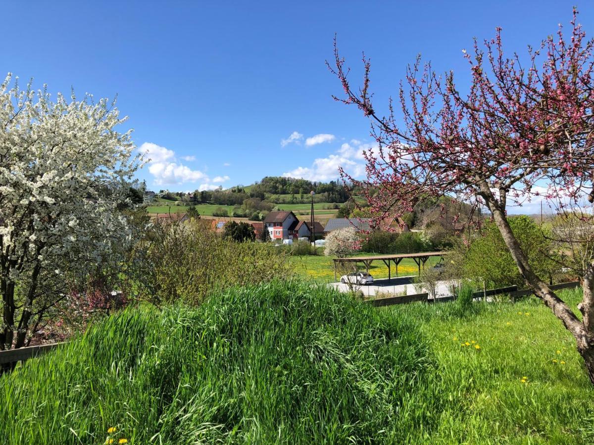 Ferienwohnungen Und Appartements Im Idyllischen Vierkanthof, Gruppenurlaube Лойперсдорф бай Фюрстенфелд Екстериор снимка